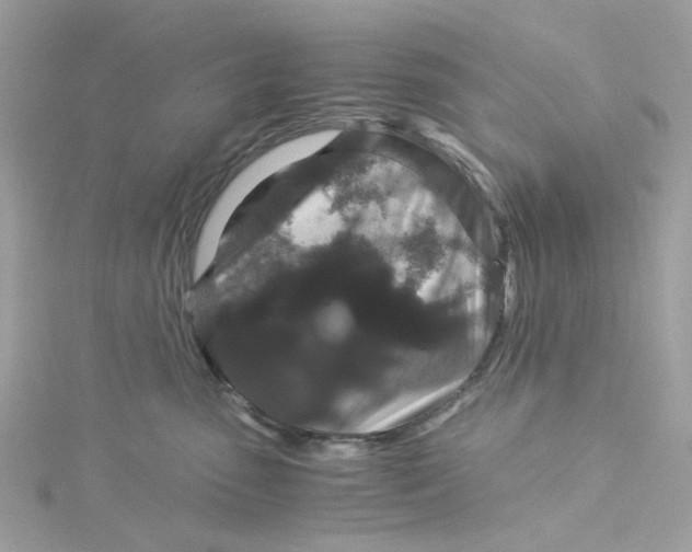 X0000115040475200911161531