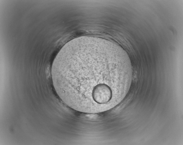 X0000115040478200911161531