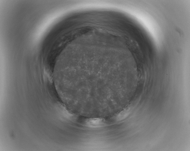 X0000115040479200911161531