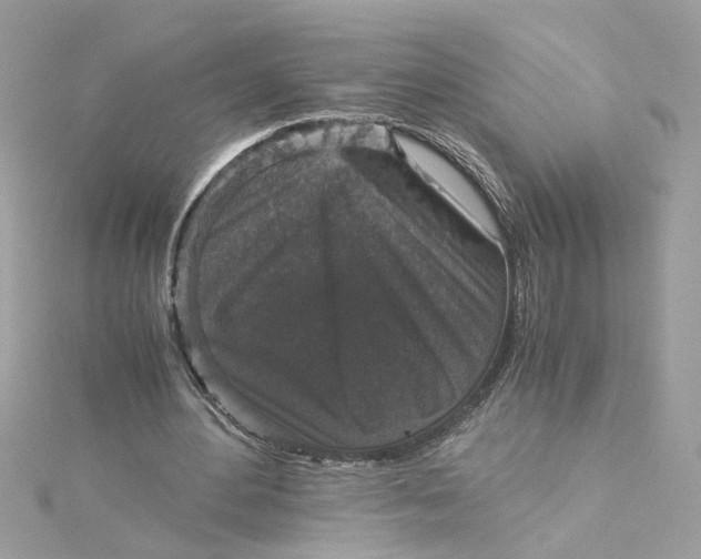 X0000115040484200911161530