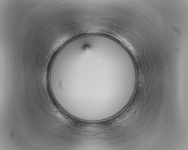 X0000115040485200911161530