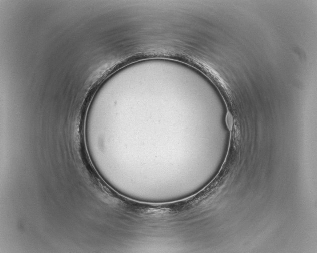 X0000115040487200911161530