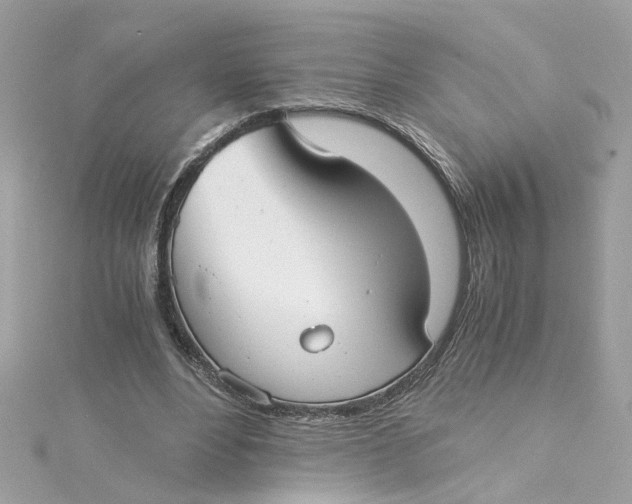 X0000115040488200911161530