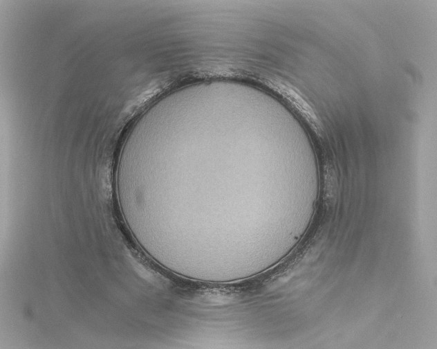 X0000115040489200911161530