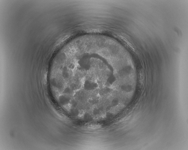 X0000115040491200911161530