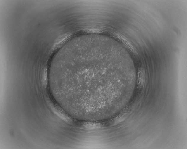 X0000115040494200911161530