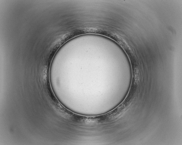 X0000115040495200911161530