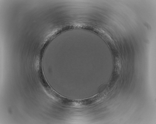 X0000115040496200911161530