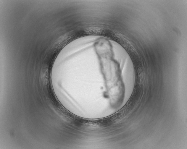 X0000115040498200911161530