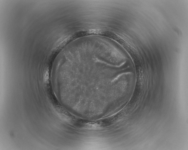 X0000115040502200911161530