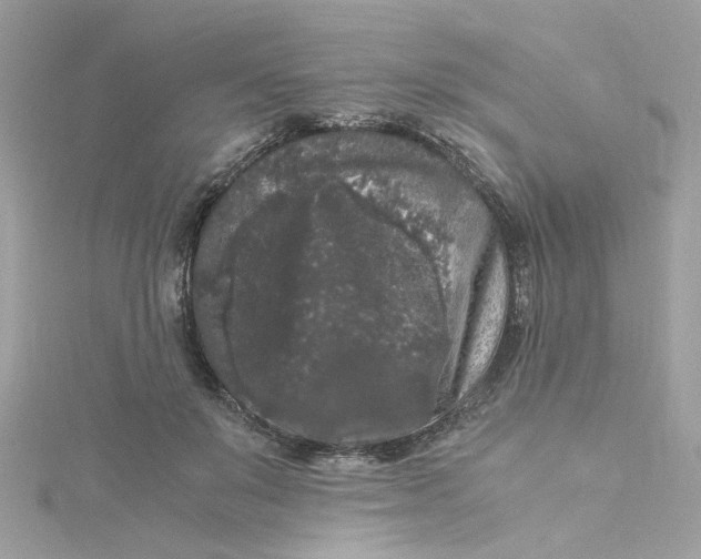 X0000115040503200911161530