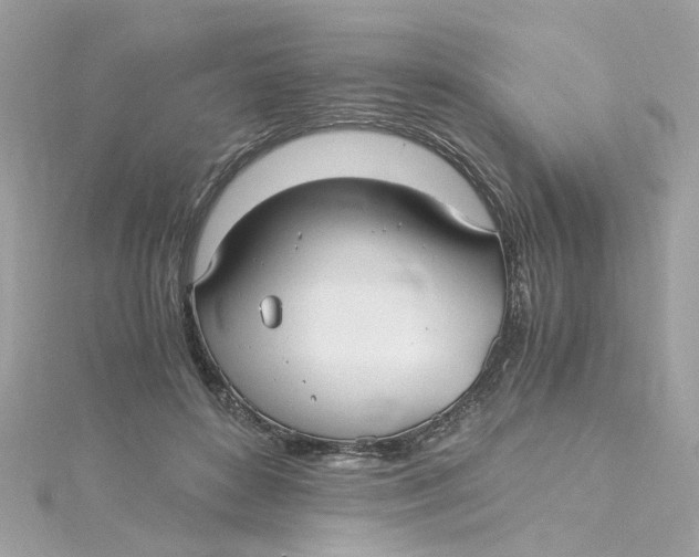 X0000115040504200911161530