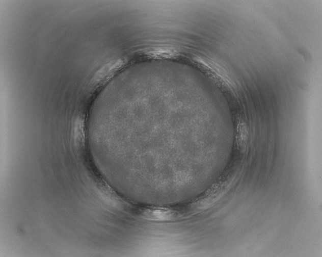 X0000115040506200911161530