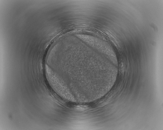 X0000115040508200911161530