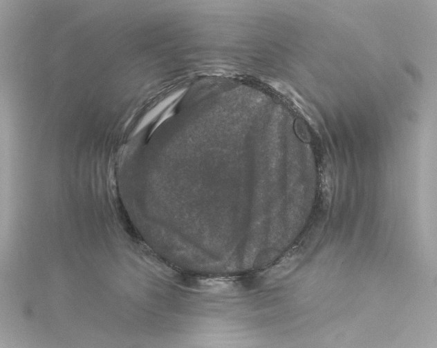 X0000115040516200911161530