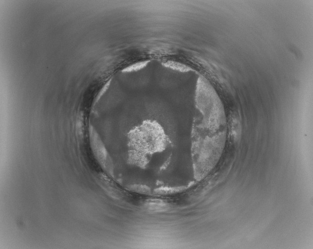 X0000115040519200911161530