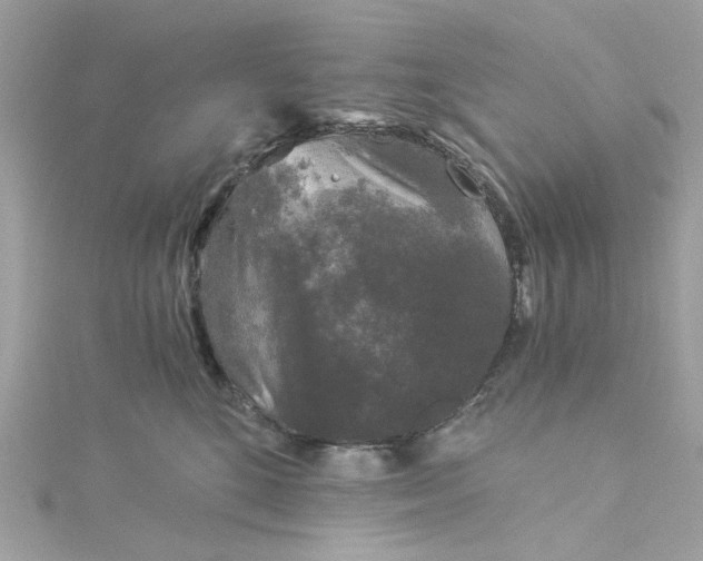 X0000115040520200911161530