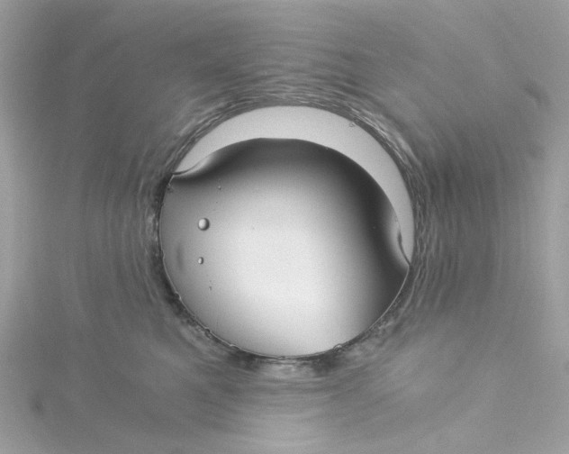 X0000115040521200911161530