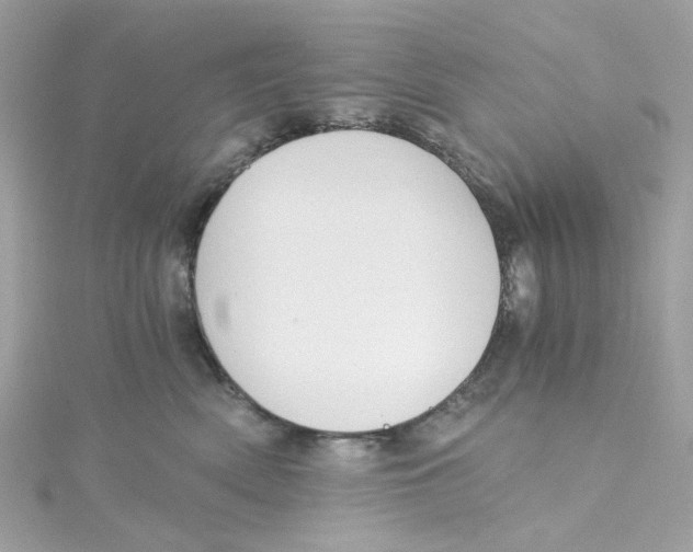 X0000115040522200911161530