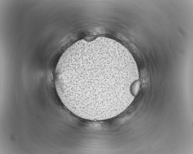 X0000115040523200911161530