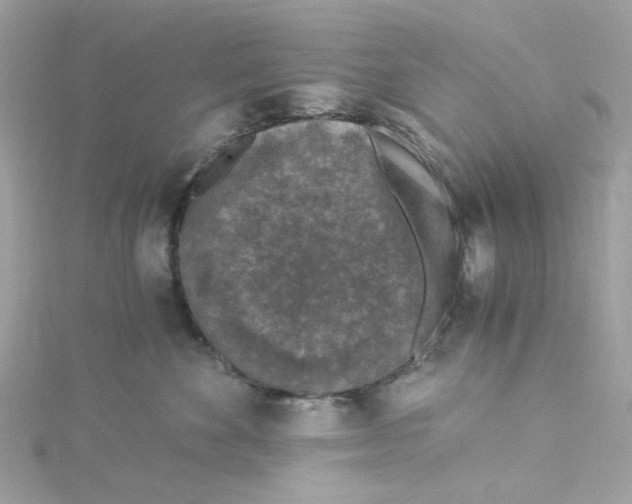 X0000115040524200911161530