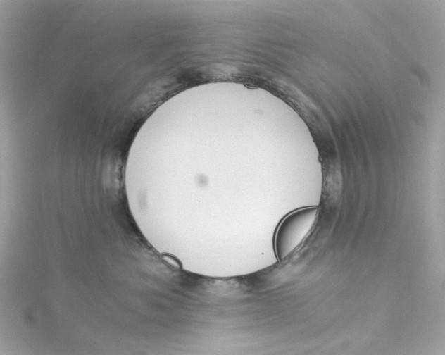 X0000115040525200911161530