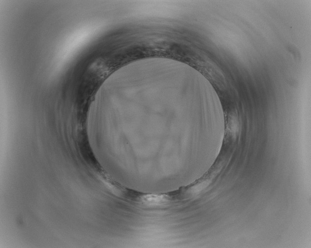 X0000115040526200911161530