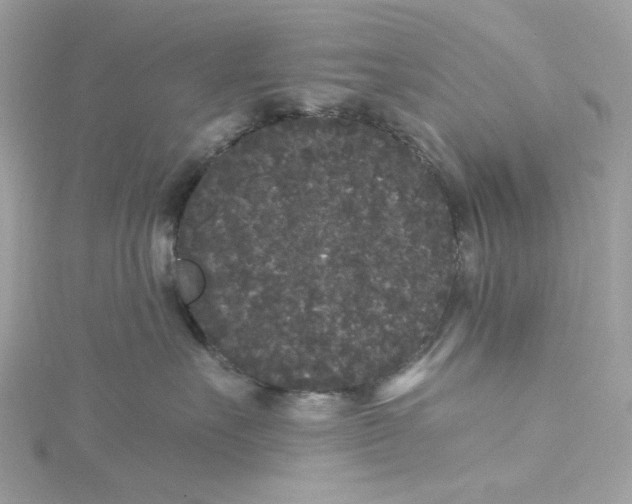 X0000115040527200911161530