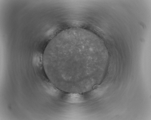 X0000115040528200911161530