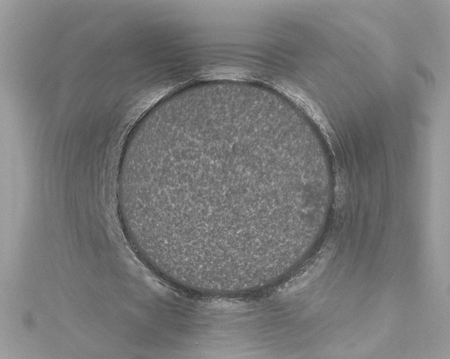 X0000115040529200911161529