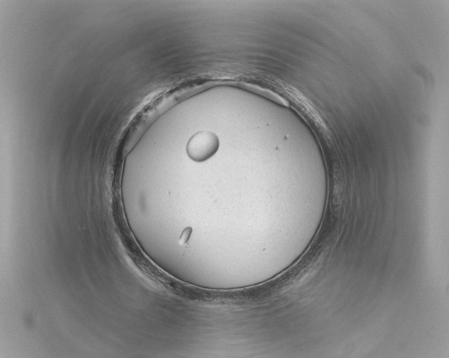 X0000115040530200911161529