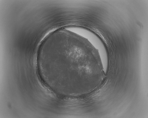 X0000115040531200911161529