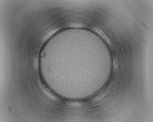 X0000115040533200911161529