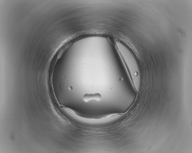 X0000115040534200911161529