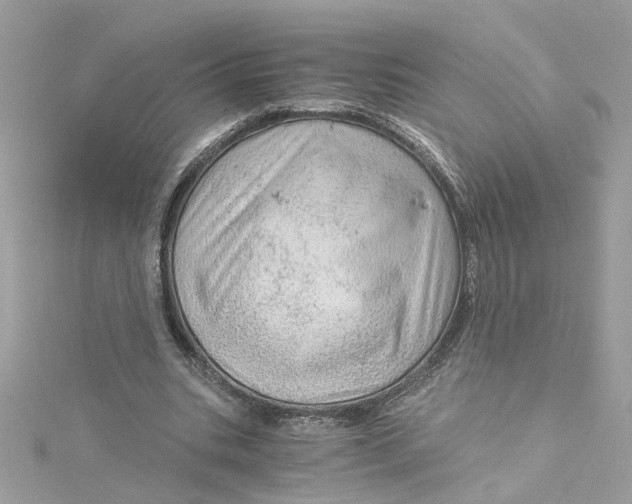 X0000115040535200911161529