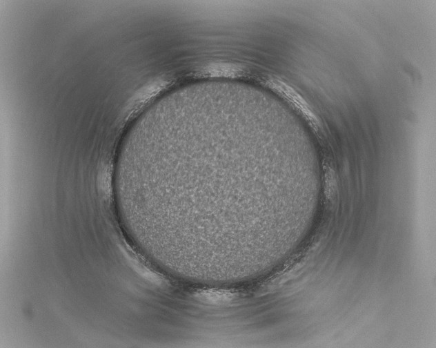 X0000115040537200911161529