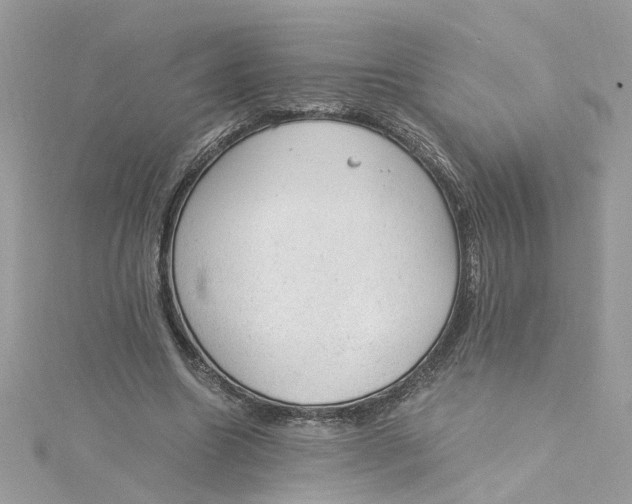 X0000115040538200911161529