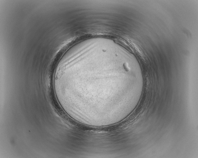 X0000115040539200911161529