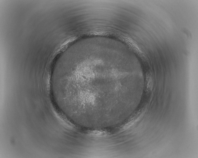 X0000115040542200911161529