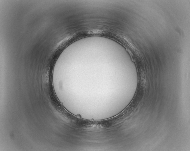 X0000115040543200911161529