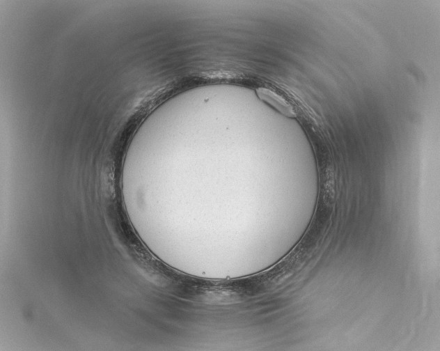 X0000115040547200911161529