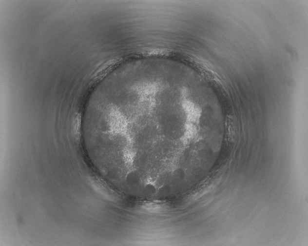 X0000115040550200911161529