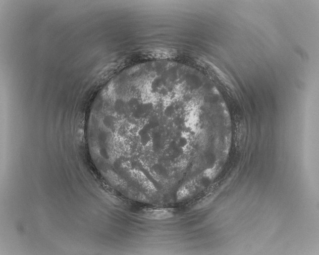 X0000115040553200911161529