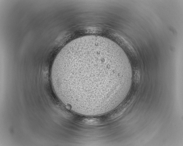 X0000115040557200911161529