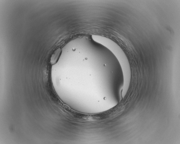 X0000115040558200911161529