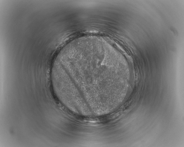 X0000115040559200911161529