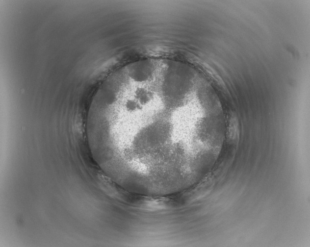 X0000115040569200911161530