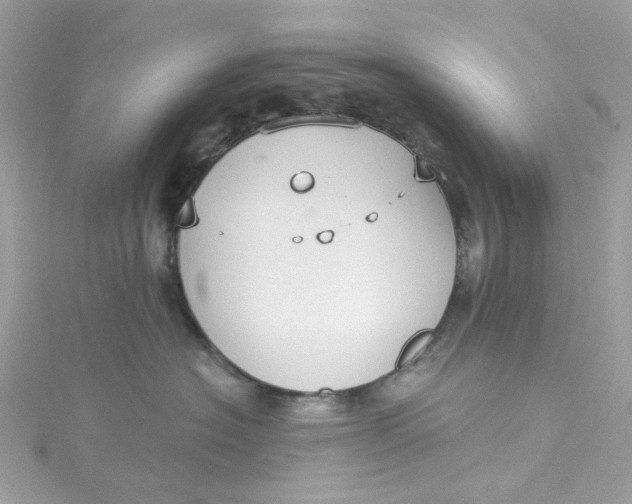 X0000115040574200911161530