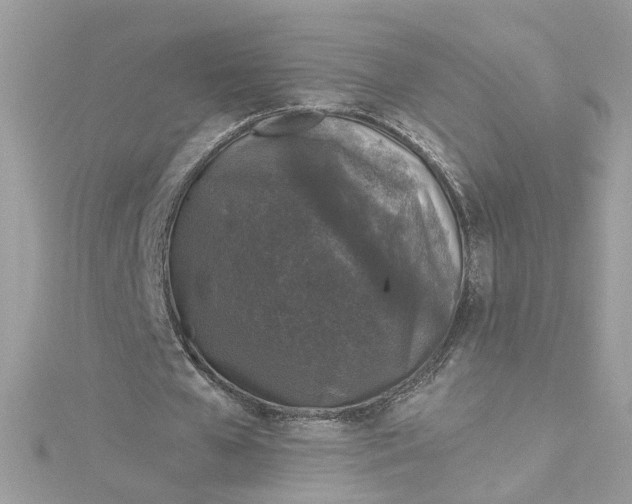 X0000115040577200911161529