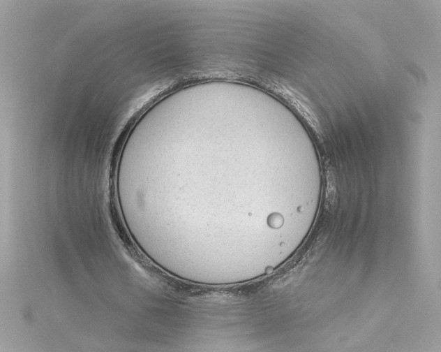 X0000115040578200911161529